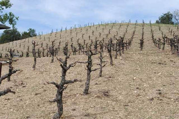 Dry Farming